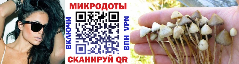 ссылка на мегу как войти  Малаховка  Галлюциногенные грибы MAGIC MUSHROOMS 